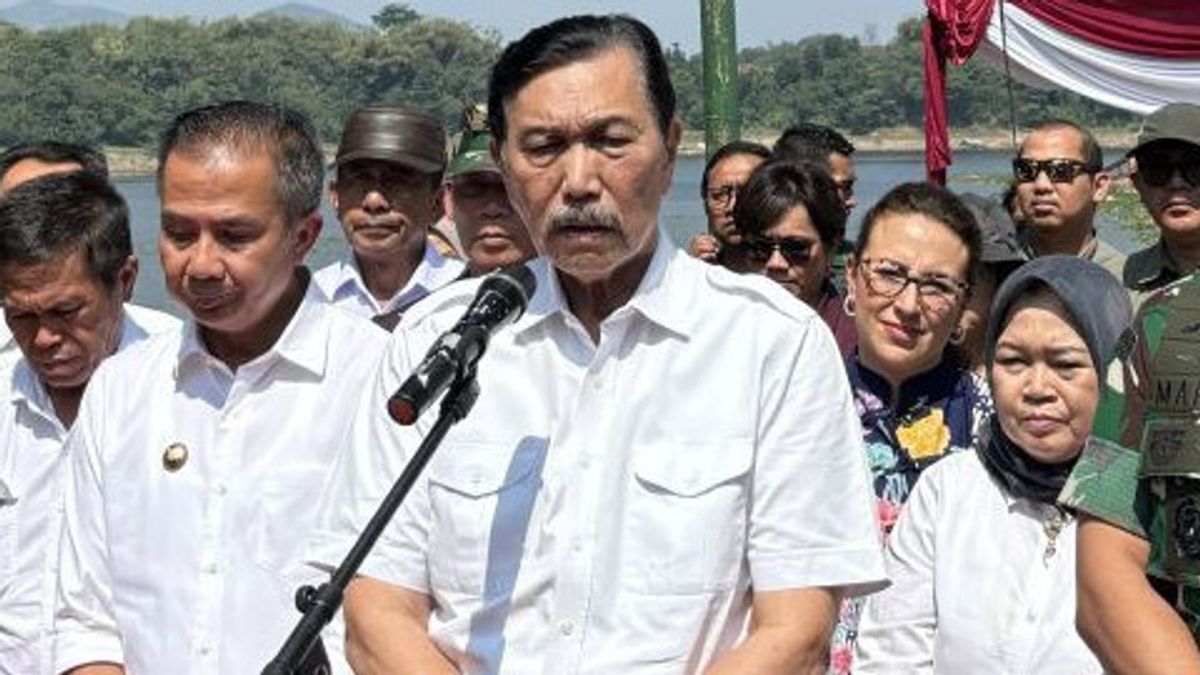 Luhut Baru Buka Suara Airlangga Hartarto Mengundurkan Diri